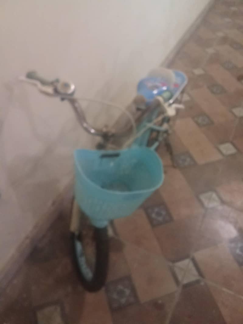 cycle 2
