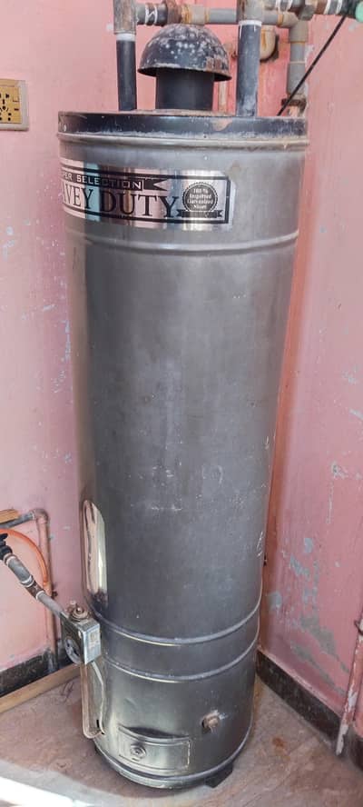 Gas geyser