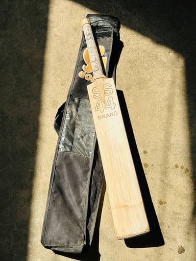 English willow bat