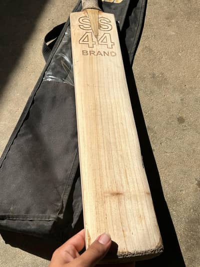 English willow bat