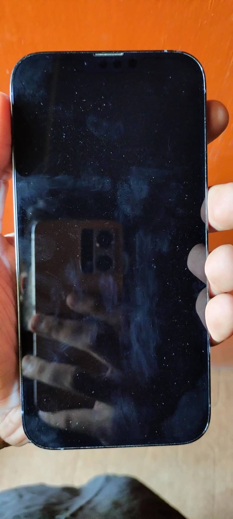 Apple iPhone 13 Pro Max 2