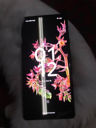 Google Pixel 6 - Display Issue