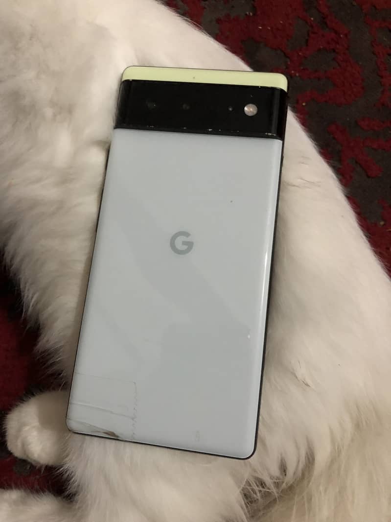 Google Pixel 6 - Display Issue 1