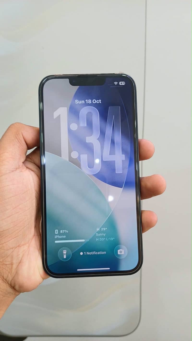 Apple iPhone 13 0