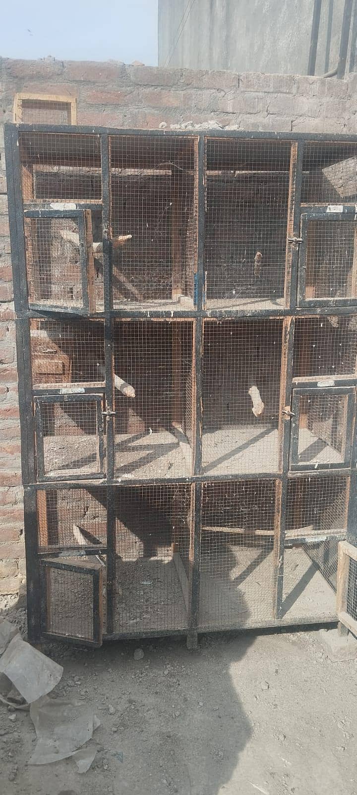 bird cage 0