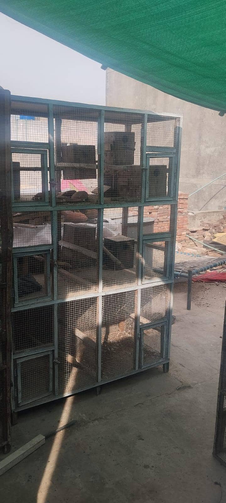 bird cage 1