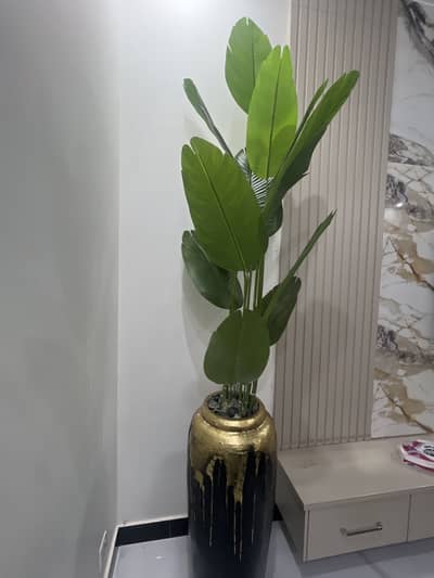 Plant with vase