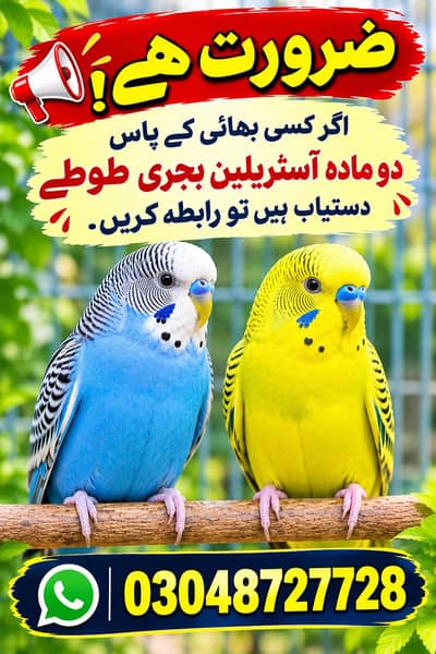 2 female bajri