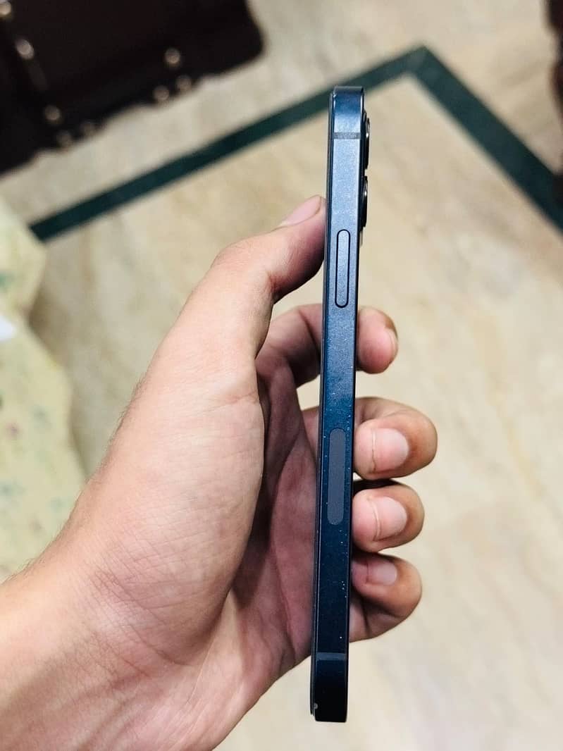 Apple iPhone 12 1