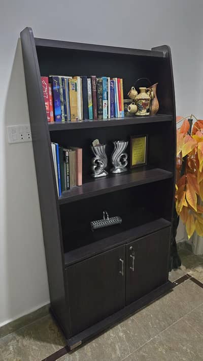 Wooden Bookshelf & Storage Cabinet