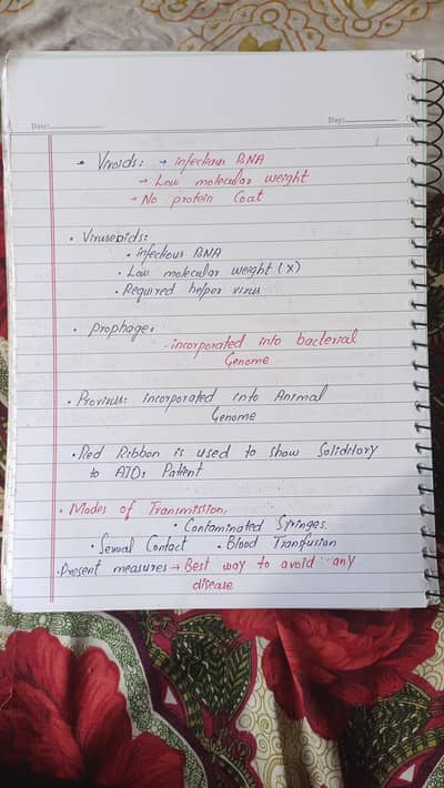 Professional English hand writing assignment services