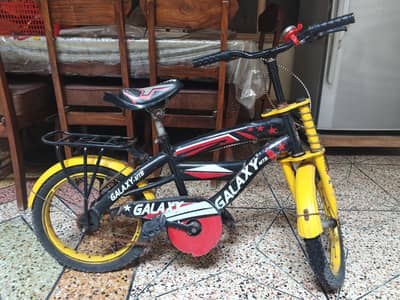 0/3/0/0/6/6/5/1/2/7/1   only 1 year use cycle Size "16