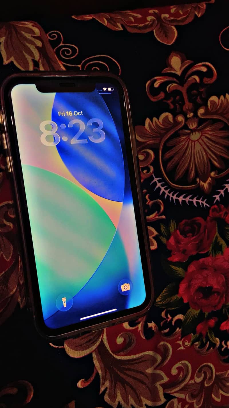 Apple iPhone 11 1