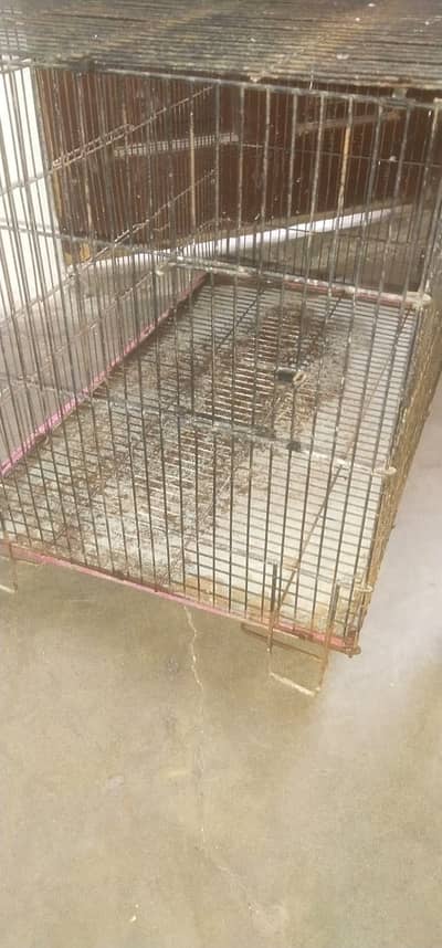 2.5 feet by 1.5 feet cage size urgent sale