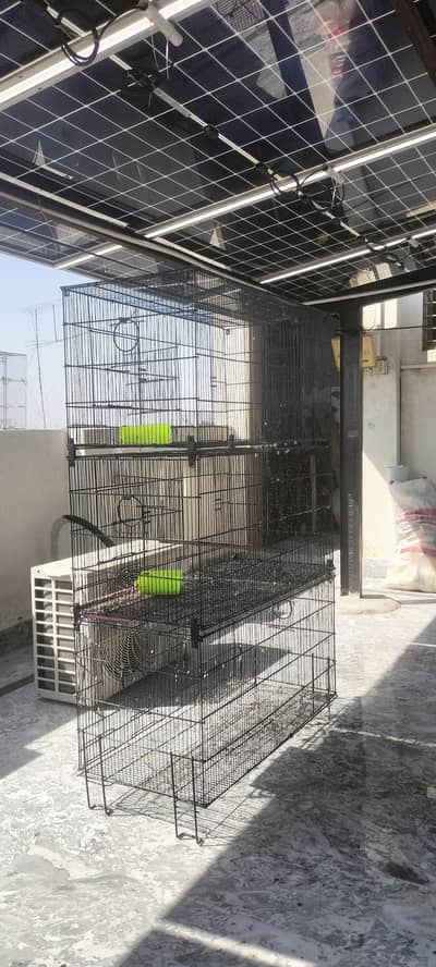 parrots cage for sale