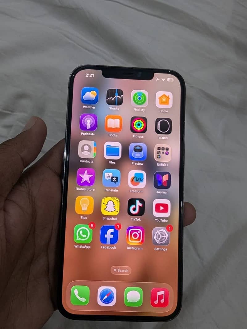Apple iPhone 12 Pro Max 1