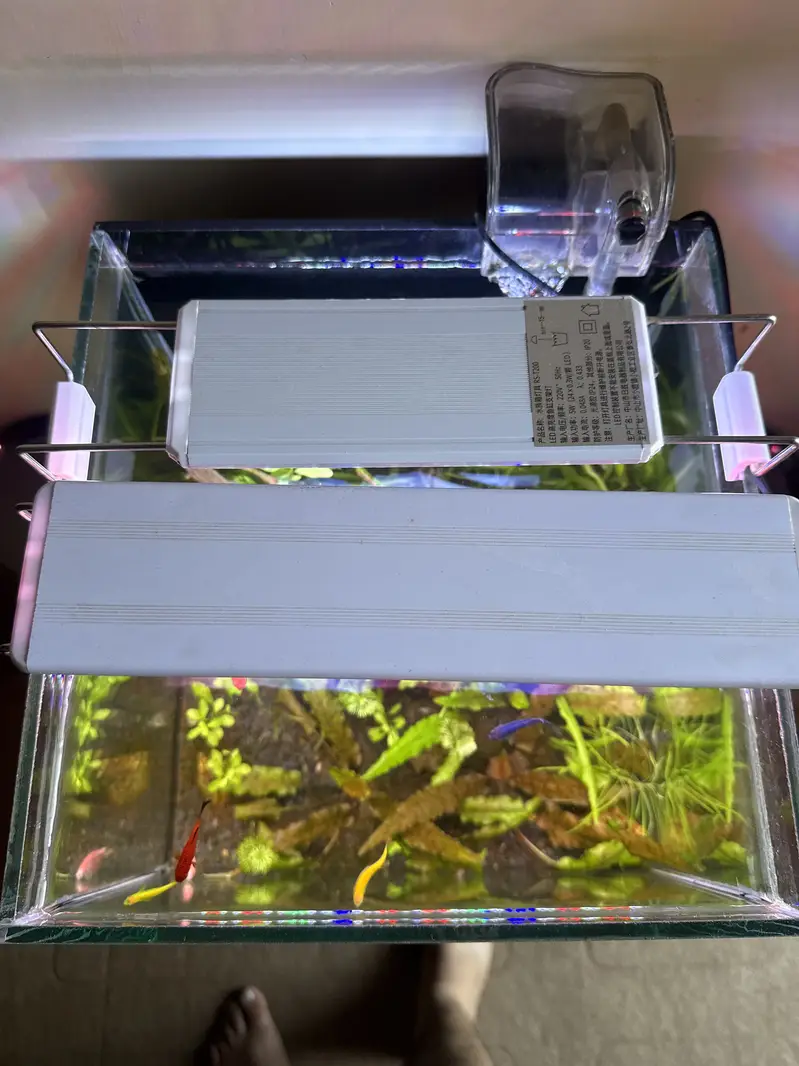 Planted Aquarium with fishes — photo 2