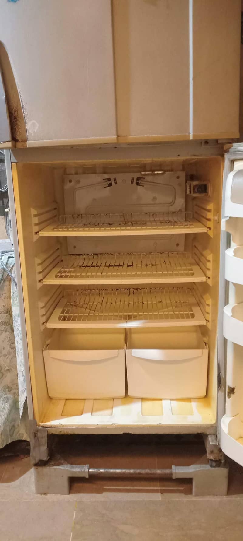 pel refrigerator 4