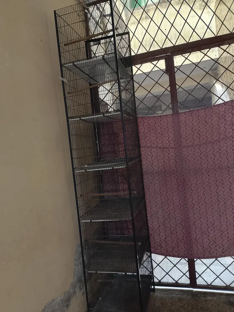 cages nd breeders pair — photo 11
