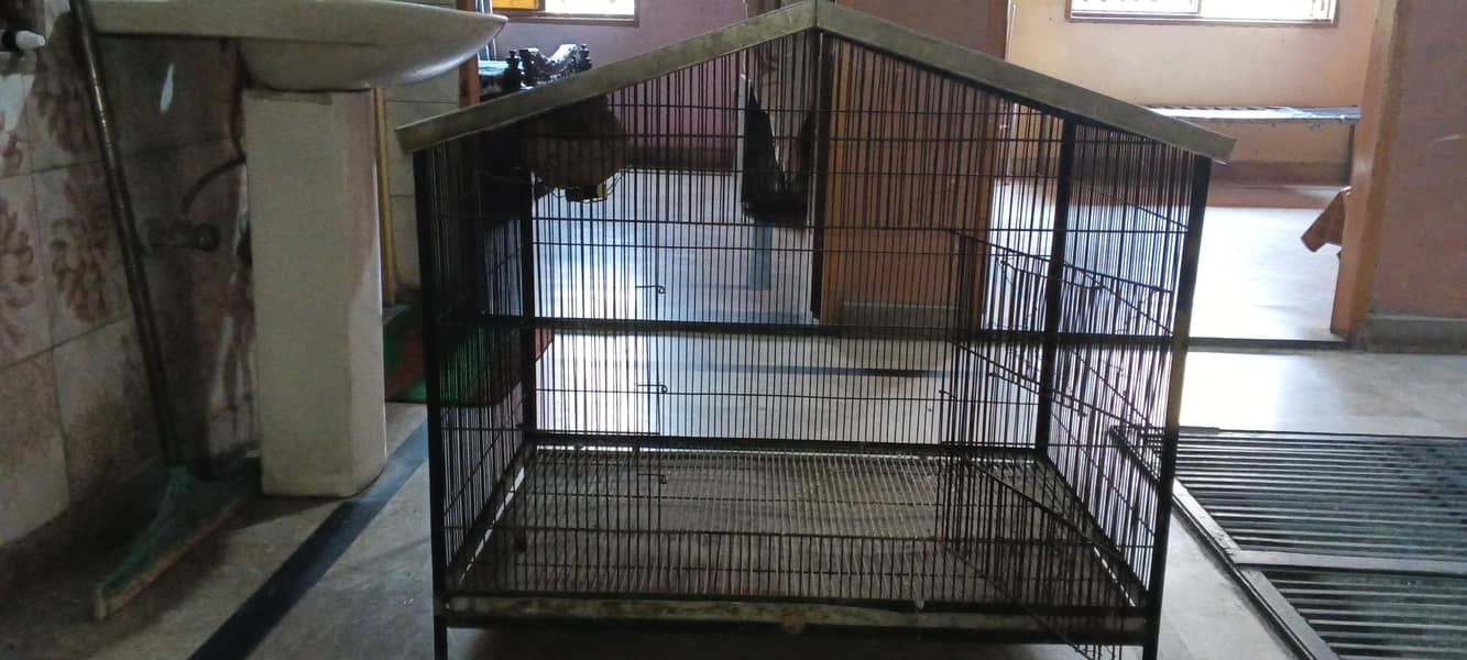 bird cage 0