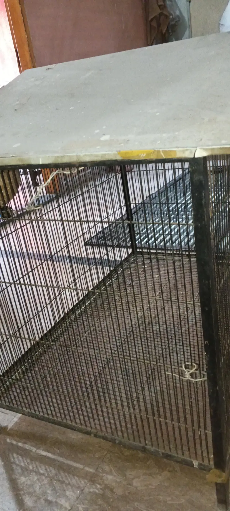 bird cage — photo 2
