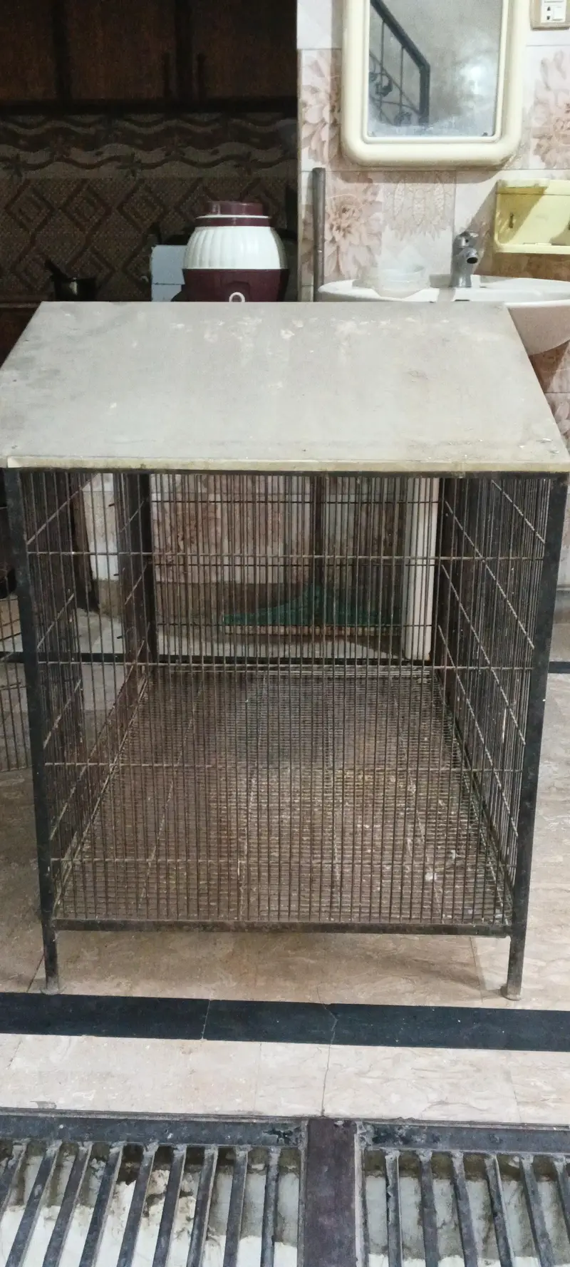 bird cage — photo 3