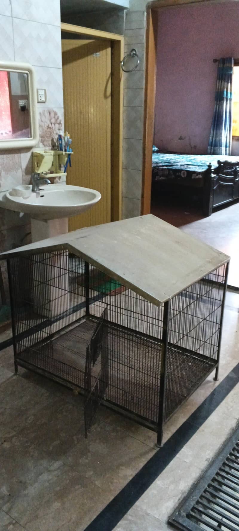 bird cage 3