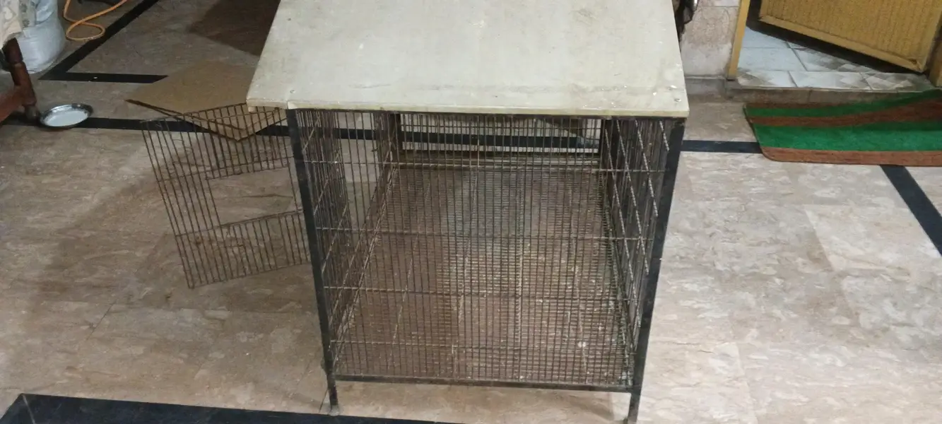 bird cage — photo 6