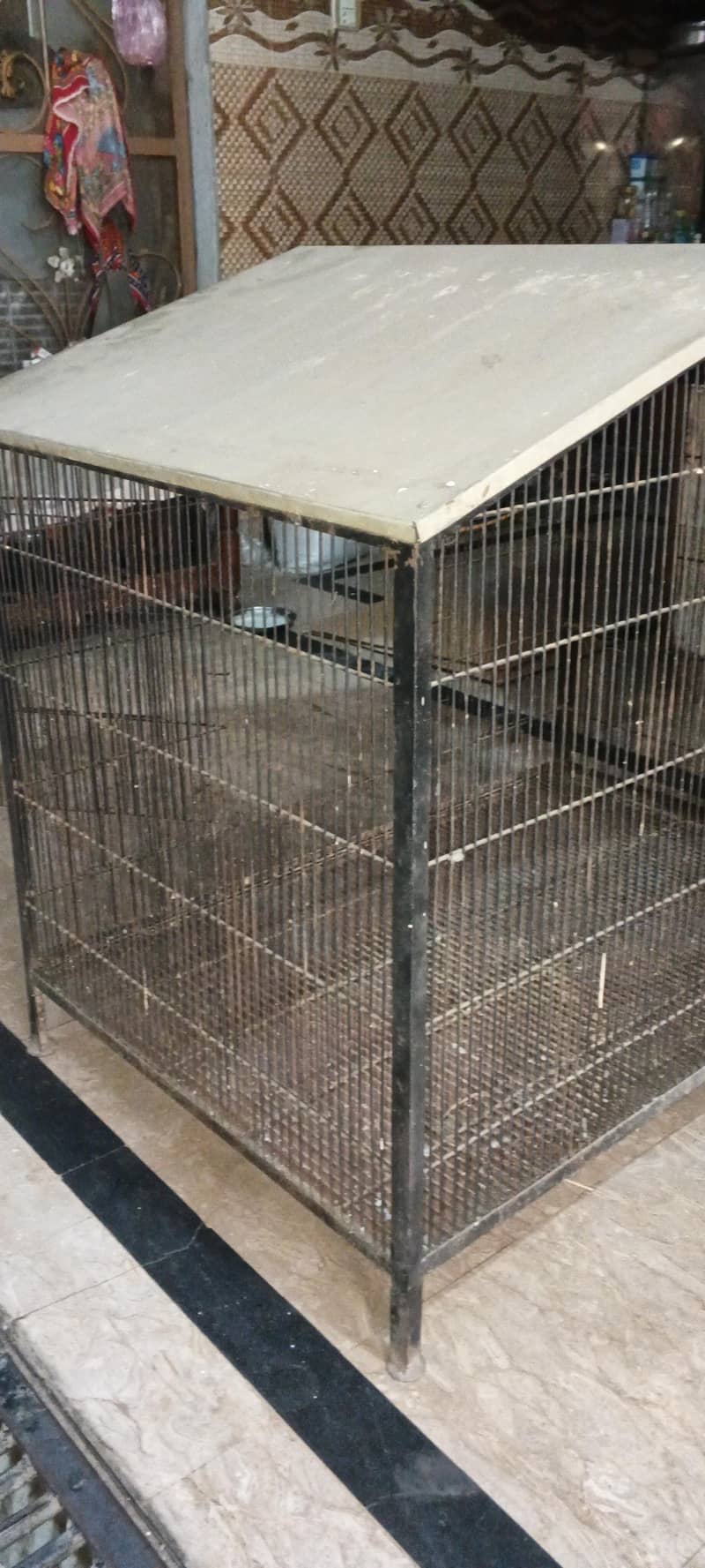 bird cage 7