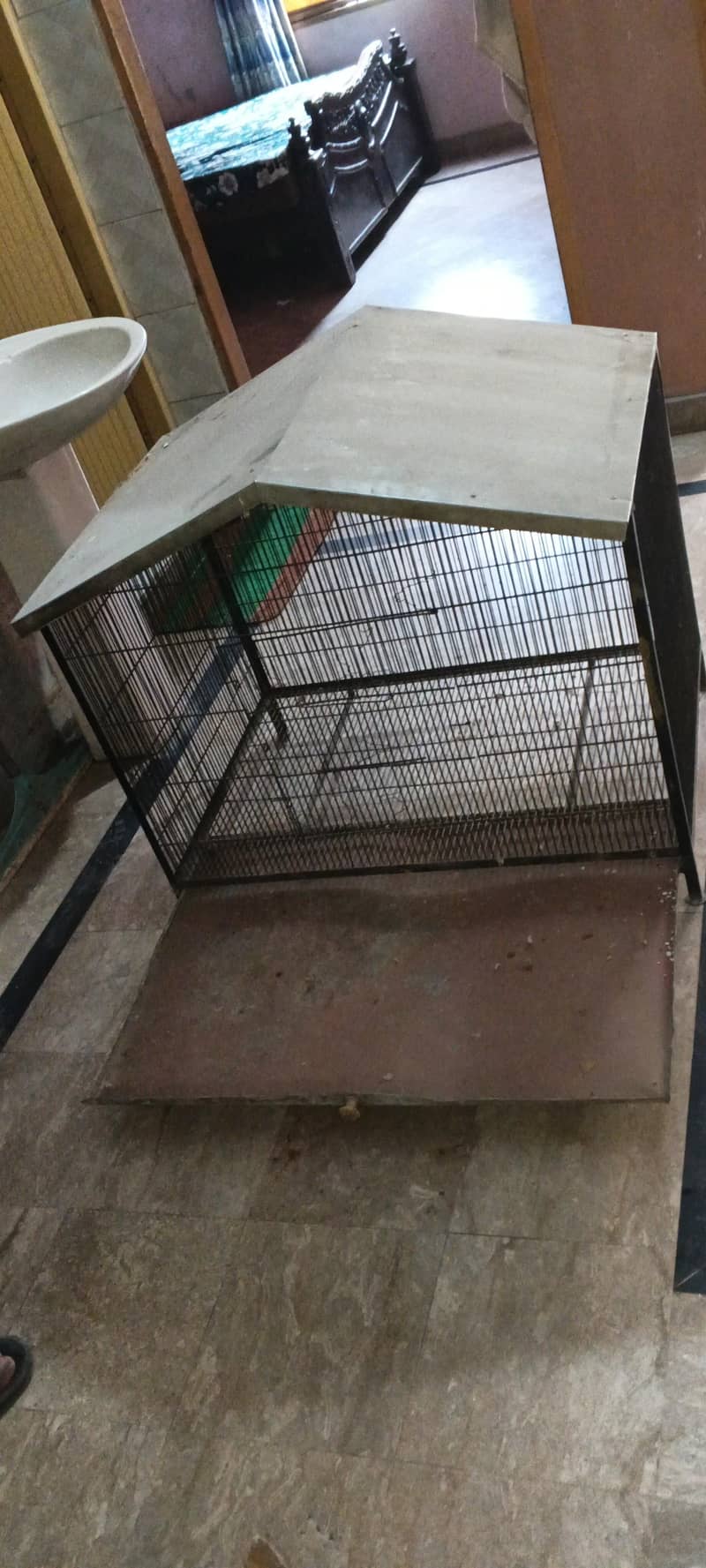 bird cage 8