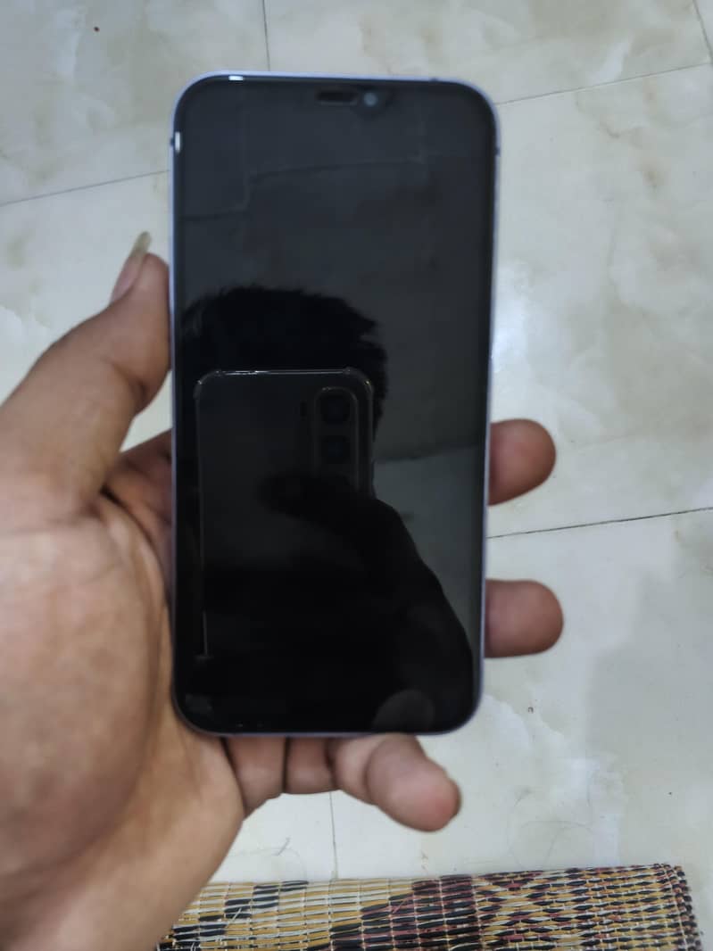 Apple iPhone 12 1