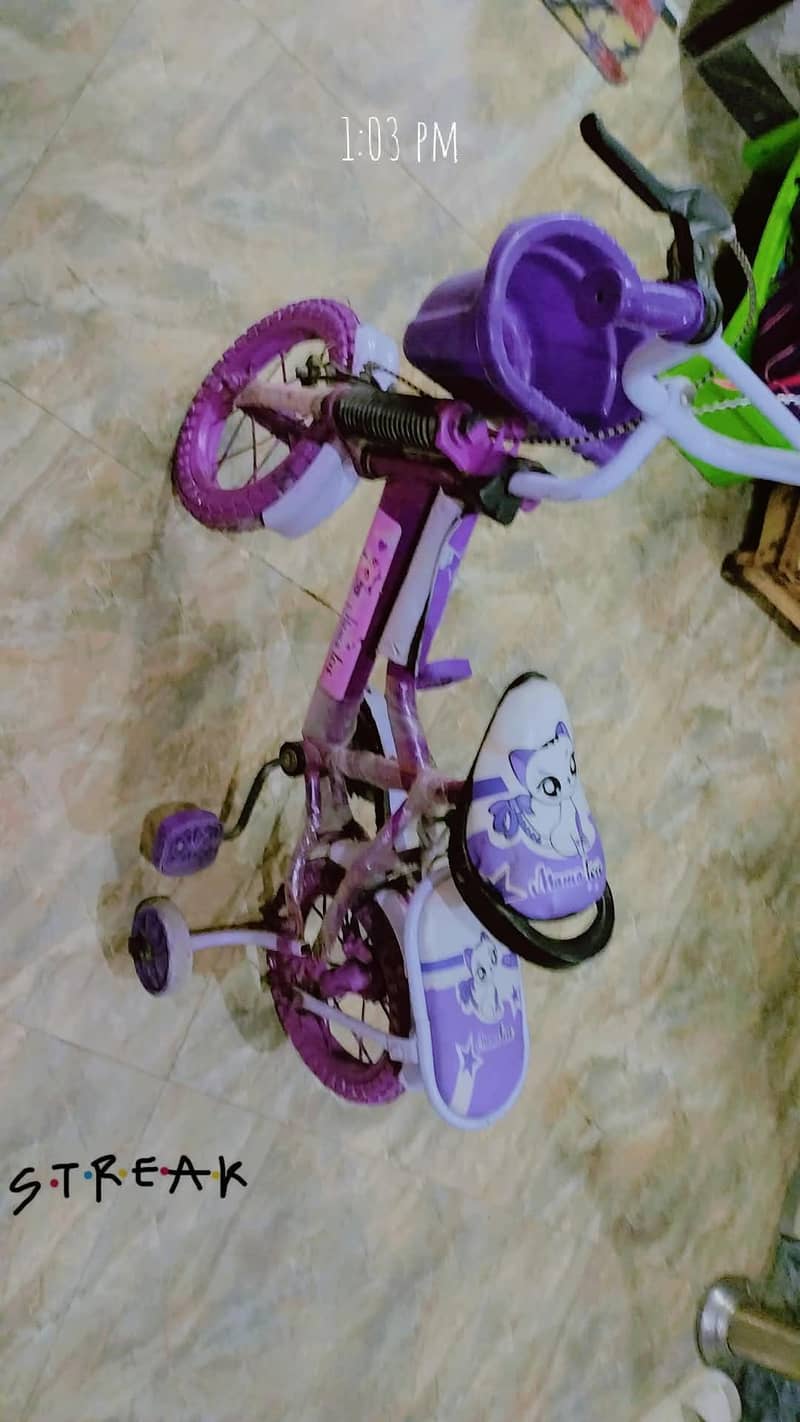 Baby cycle 1