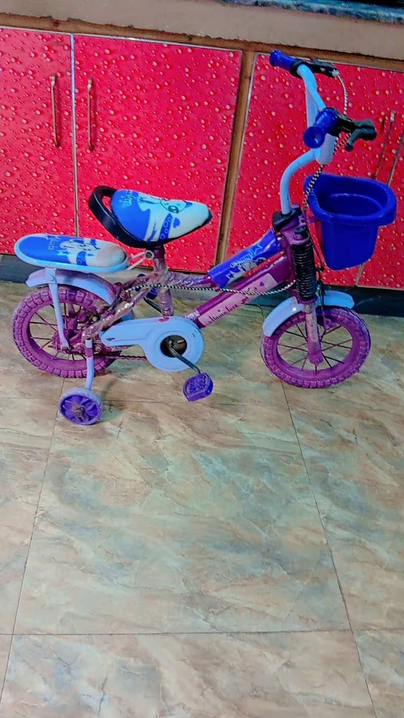 Baby cycle 2