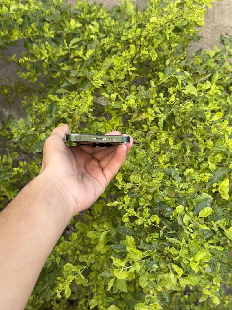 iPhone 13 ~Exchange Possible 4