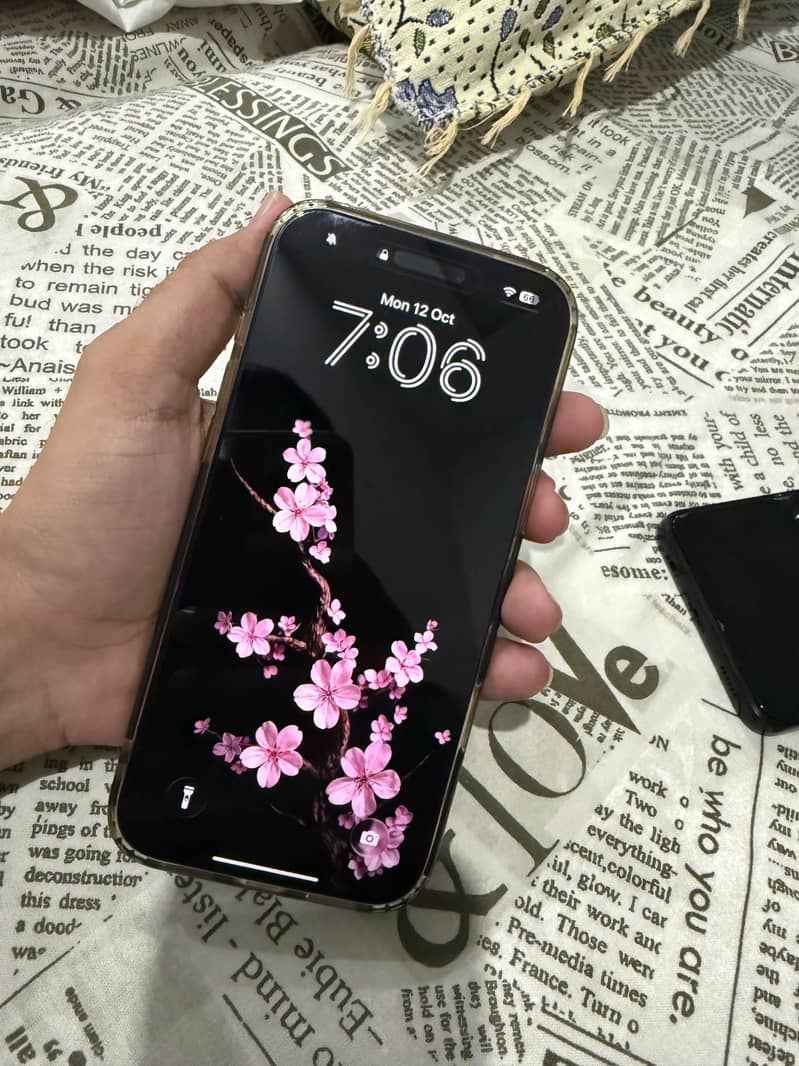 Apple iPhone 17 Pro Max 1