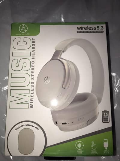 Bt Wireless head phones