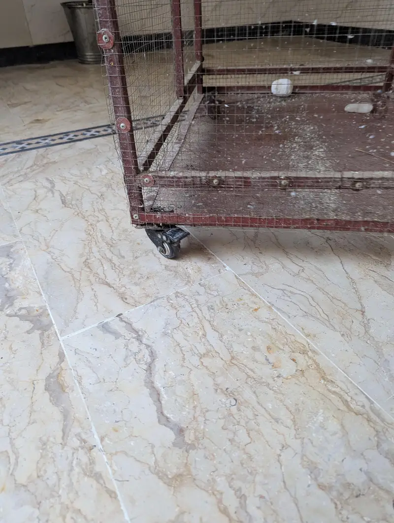 want to sell the cage — photo 4