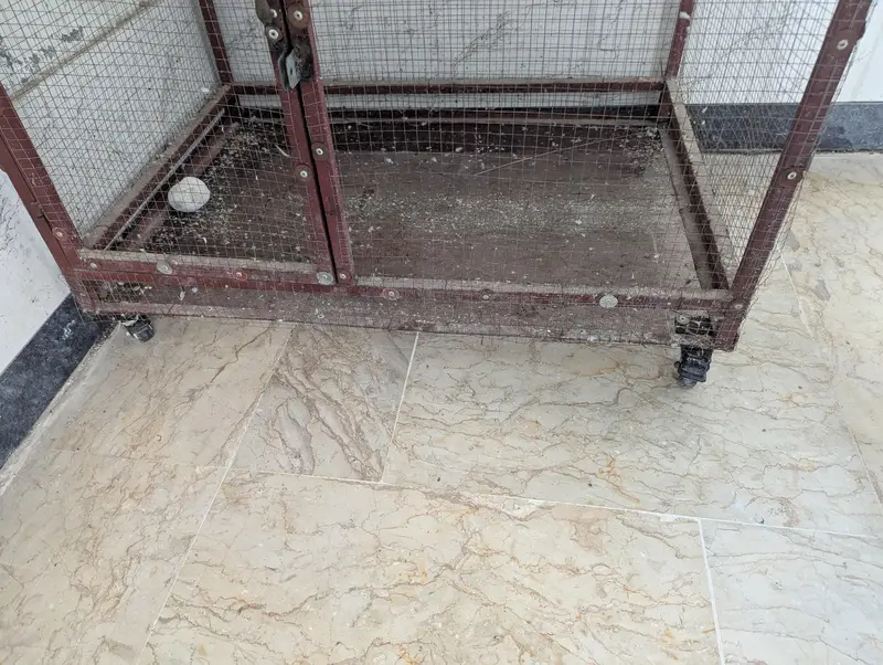 want to sell the cage — photo 5
