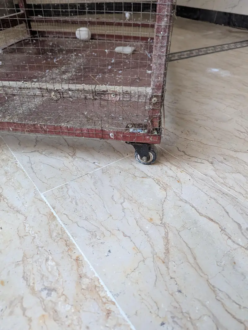 want to sell the cage — photo 6