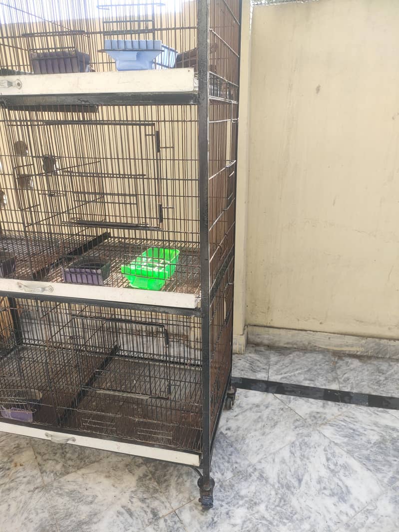 Bird Cage 0