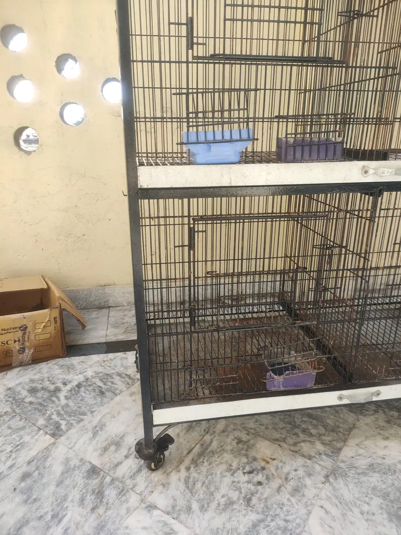 Bird Cage — photo 2