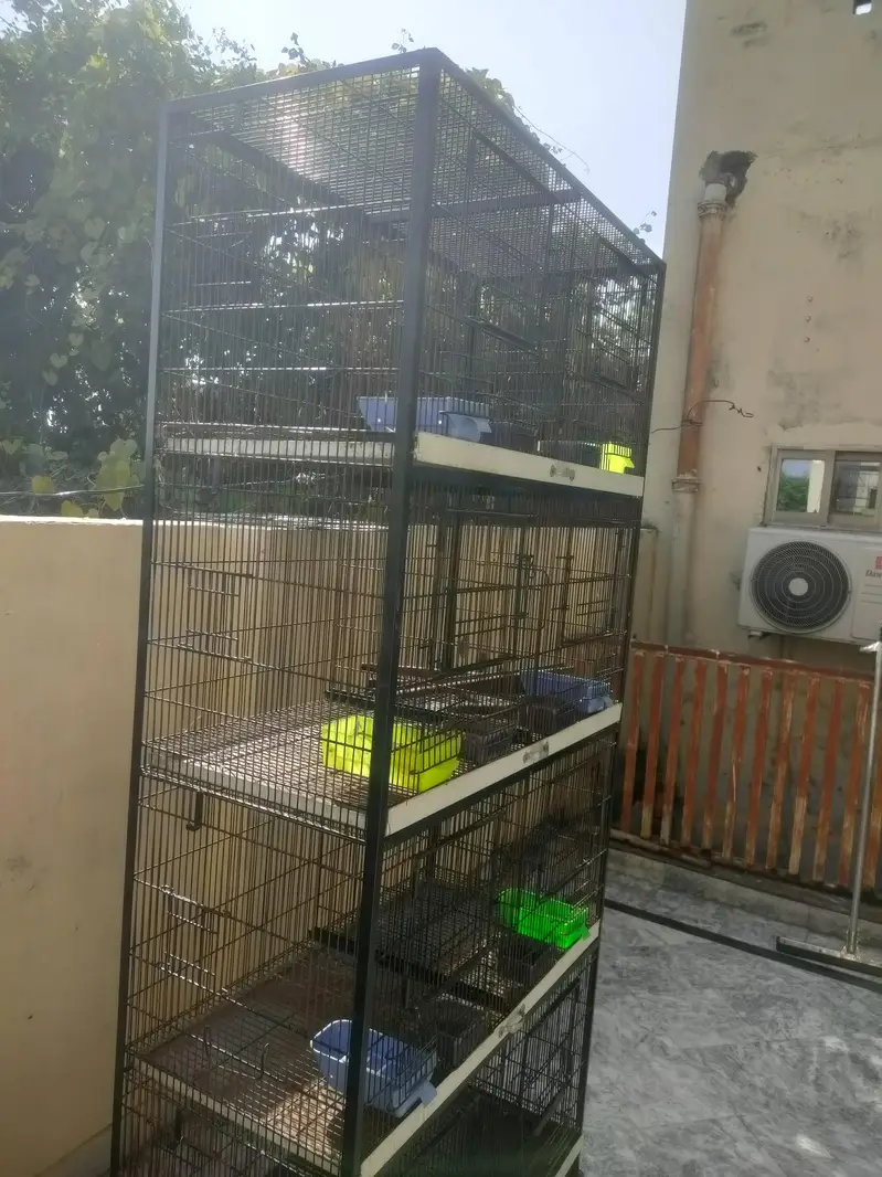 Bird Cage — photo 3