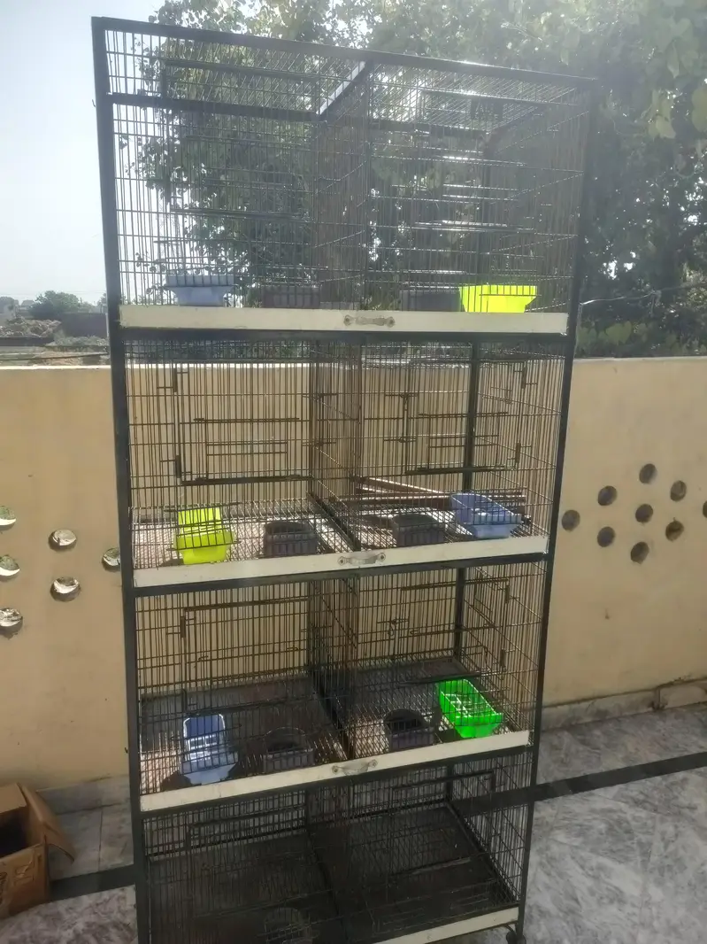 Bird Cage — photo 8