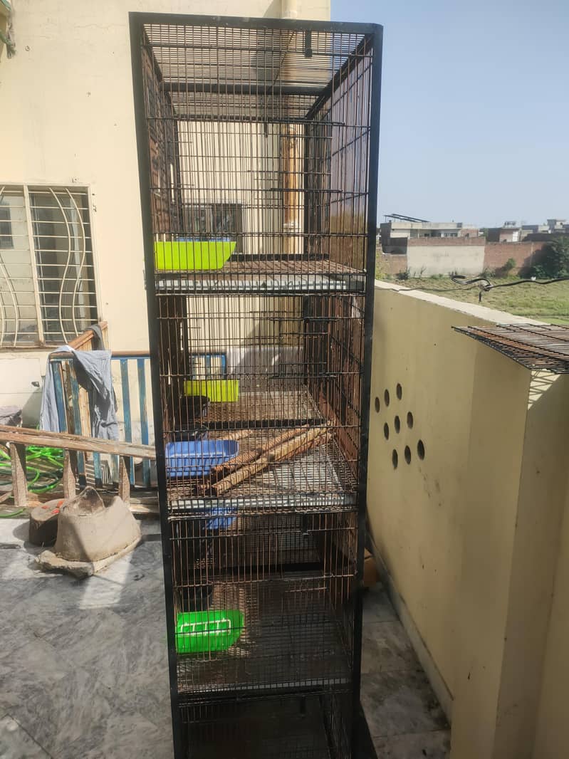 Bird Cage 8