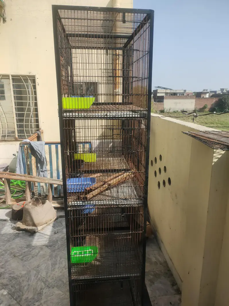 Bird Cage — photo 9