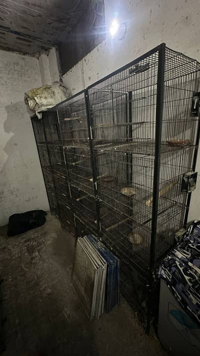 Metal cage best for all type of birds.