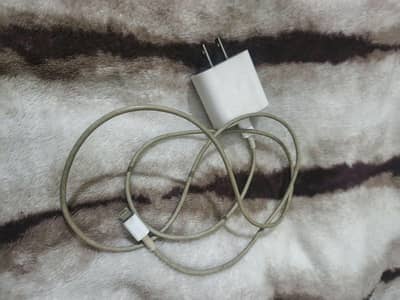 100 percent  original iPhone charger