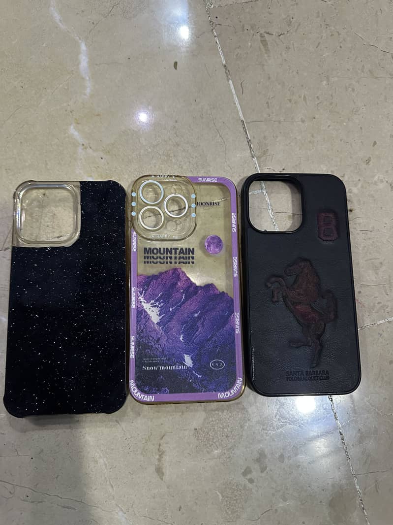 14 pro max cases 1