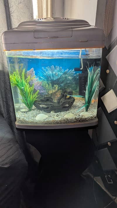 Aquarium