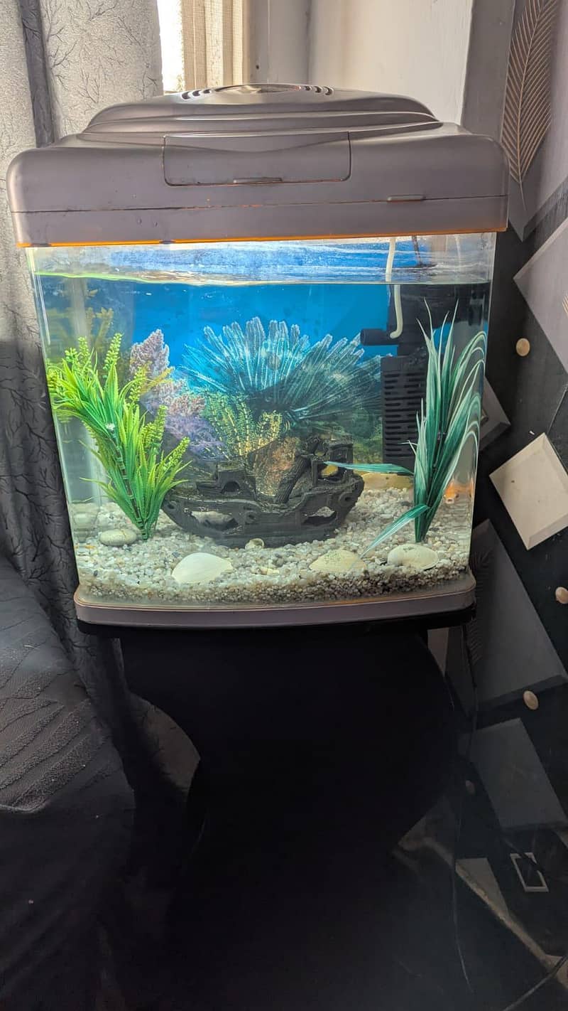 Aquarium 0